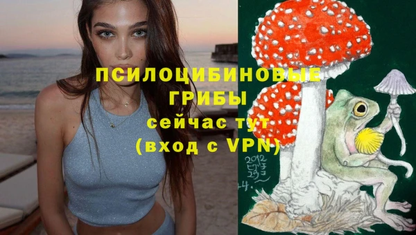 герыч Богородицк