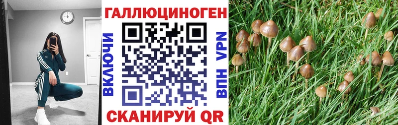 Галлюциногенные грибы GOLDEN TEACHER  дарнет шоп  Тихорецк 